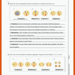 Biologie Heute Entdecken S Ii Fuer Meiose Arbeitsblatt