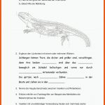 Biologie: Insekten (arbeitsblatt) - Docsity Fuer Arbeitsblätter Biologie Insekten