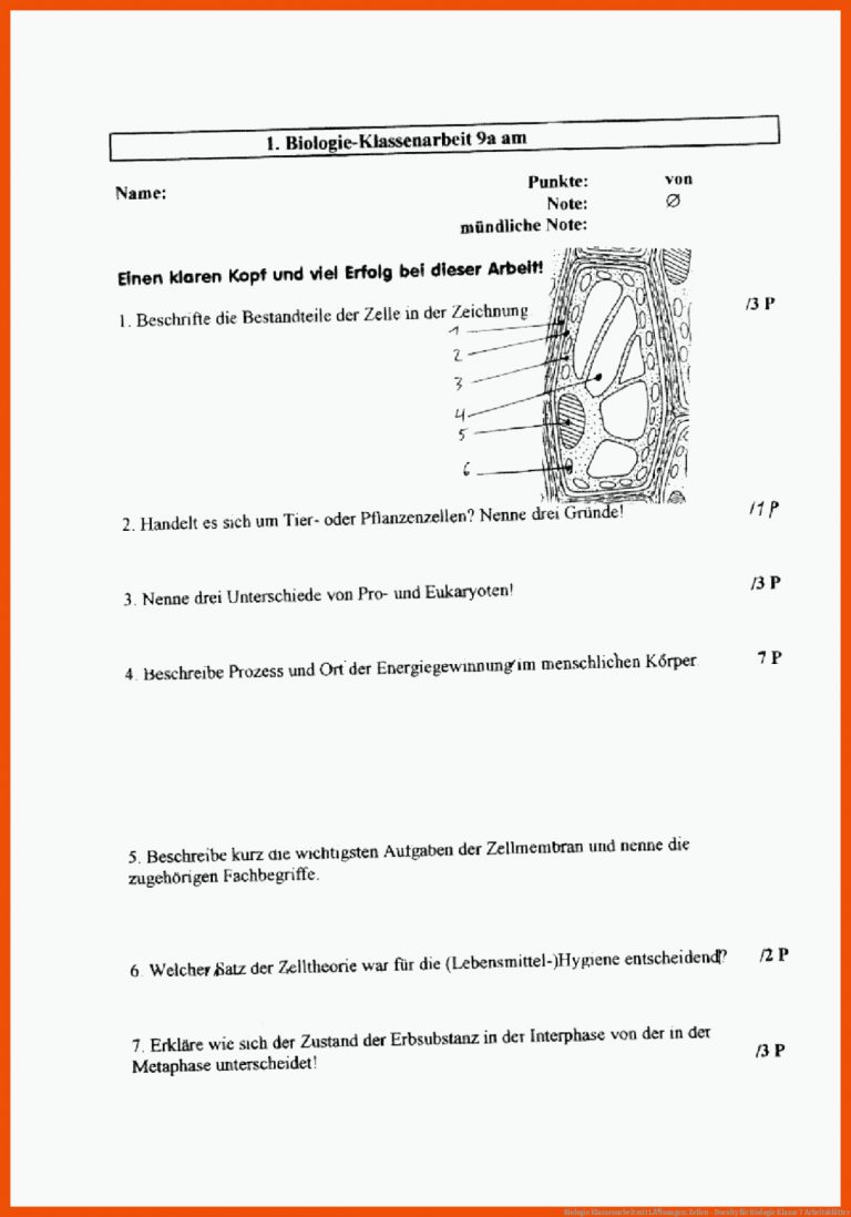 Biologie Klassenarbeit mit LÃ¶sungen: Zellen - Docsity für biologie klasse 7 arbeitsblätter