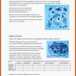 Biologie Klausur Zelle, Membranen - Biologie Klausur 1 ... Fuer Chloroplast Bau Und Funktion Arbeitsblatt Lösung