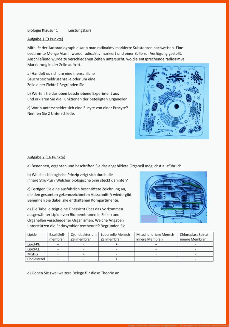 Biologie Klausur Zelle, Membranen - Biologie Klausur 1 ... für chloroplast bau und funktion arbeitsblatt lösung