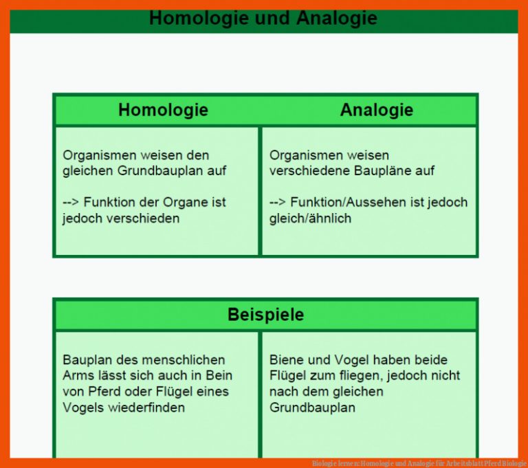 Biologie lernen: Homologie und Analogie für arbeitsblatt pferd biologie