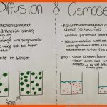 Biologie Praktikum: Plakat: Diffusion Und Osmose Fuer Diffusion Und Osmose Arbeitsblatt
