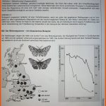 Biologie, Selektion Und Anpassung? (schule, Tiere, Lernen) Fuer Birkenspanner Selektion Arbeitsblatt