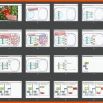 Biologie-unterricht: Digitale Folien Genetik: Vom Gen Zum Merkmal Fuer Vom Gen Zum Merkmal Arbeitsblatt