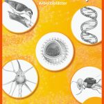 Bioskop Si - ArbeitsblÃ¤tter 7 - 10 â Westermann Fuer Systemebenen Biologie Arbeitsblatt