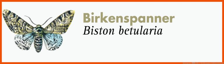 Birkenspanner â Bund E.v. Fuer Birkenspanner Selektion Arbeitsblatt