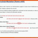 Bitte Scrollen Und Auf Eine Passende Folie Klicken, Mit Der Diese ... Fuer Mutation Und Modifikation Arbeitsblatt Lösungen