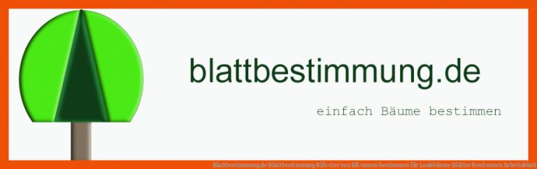Blattbestimmung.de | Blattbestimmung | BlÃ¤tter von BÃ¤umen bestimmen für laubbäume blätter bestimmen arbeitsblatt