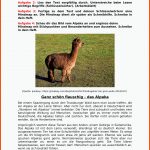 Blog Fuer Tierbeschreibung Klasse 5 Arbeitsblätter Kostenlos