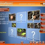 BlÃ¼tenpflanzen I - Die Real3d-software - Mitteldeutscher ... Fuer Blütendiagramm Arbeitsblatt