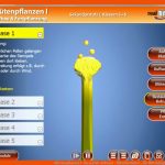 BlÃ¼tenpflanzen I - Die Real3d-software - Mitteldeutscher ... Fuer Blütendiagramm Arbeitsblatt