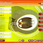 BlÃ¼tenpflanzen I - Die Real3d-software - Mitteldeutscher ... Fuer Blütendiagramm Arbeitsblatt