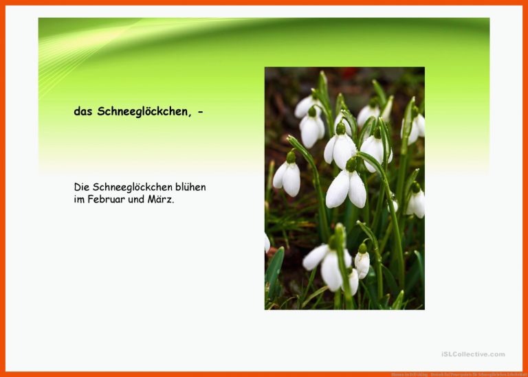 Blumen im FrÃ¼hling - Deutsch Daf Powerpoints für schneeglöckchen arbeitsblatt