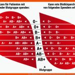 Blut & Blutgruppen Beim Blutspenden Drk-blutspendedienst Baden ... Fuer Vererbung Der Blutgruppen Arbeitsblatt