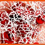 Blut: Ãbungen - Gerinnung Biologie Alpha Lernen Br.de Fuer Blutgerinnung Und Wundverschluss Arbeitsblatt