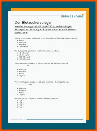 22 Diabetes Mellitus Arbeitsblatt