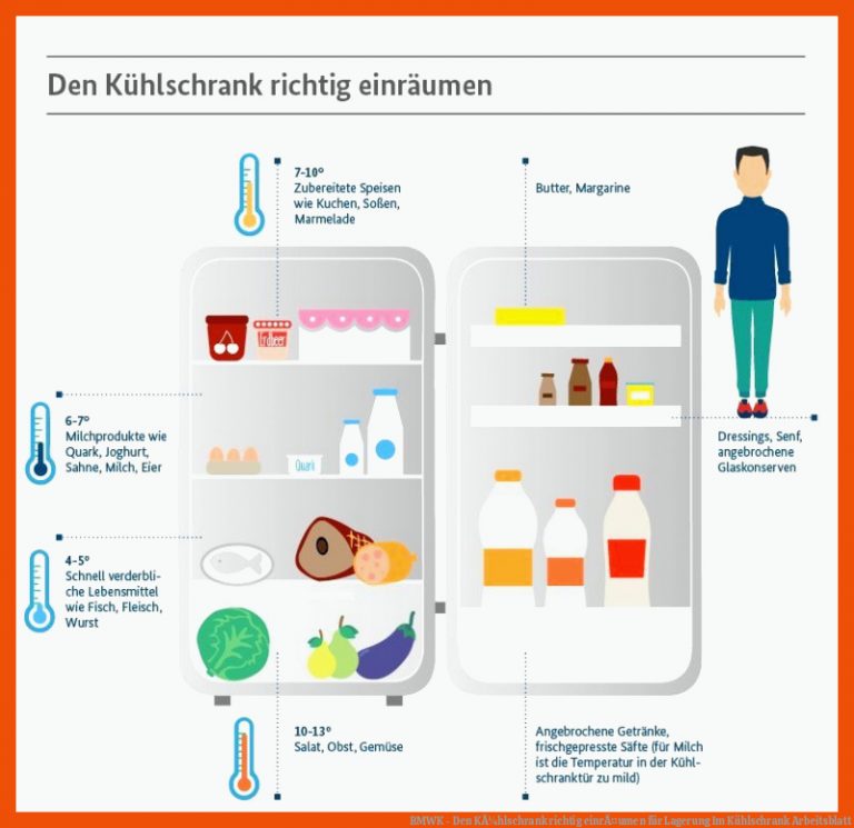 BMWK - Den KÃ¼hlschrank richtig einrÃ¤umen für lagerung im kühlschrank arbeitsblatt