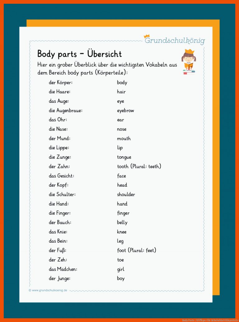 Body Parts / KÃ¶rper für arbeitsblatt körperteile