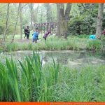 Botanischer Lehrgarten - Schulbiologiezentrum Leipzig Fuer Zonierung See Arbeitsblatt