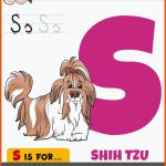 Brief S Arbeitsblatt Mit Cartoon Shih Tzu Reinrassigen Hund 2058015 ... Fuer Hunde Arbeitsblätter