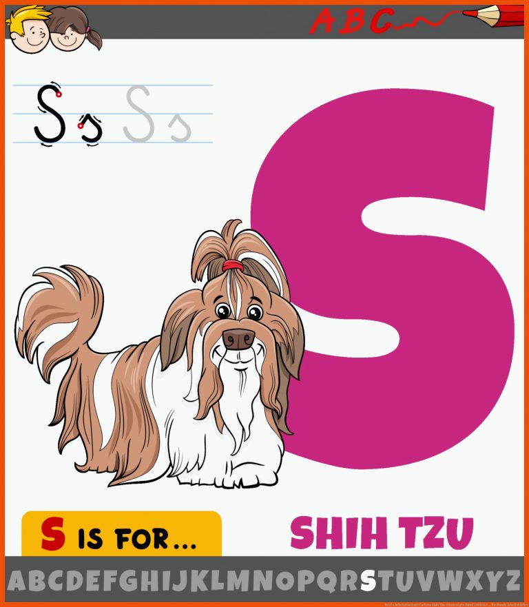 Brief s Arbeitsblatt mit Cartoon Shih Tzu reinrassigen Hund 2058015 ... für hunde arbeitsblätter