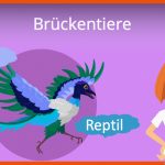 BrÃ¼ckentiere Fuer Archaeopteryx Brückentier Arbeitsblatt