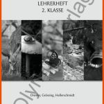 Bu2 Lh by Olympe Verlag Gmbh - issuu Fuer Friedfisch Und Raubfisch Arbeitsblatt