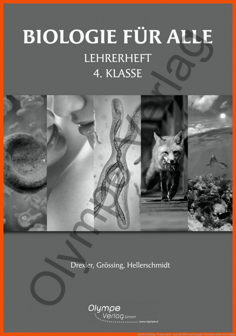 Bu4 lh by Olympe Verlag GmbH - Issuu für differenzierung bei tierischen zellen arbeitsblatt