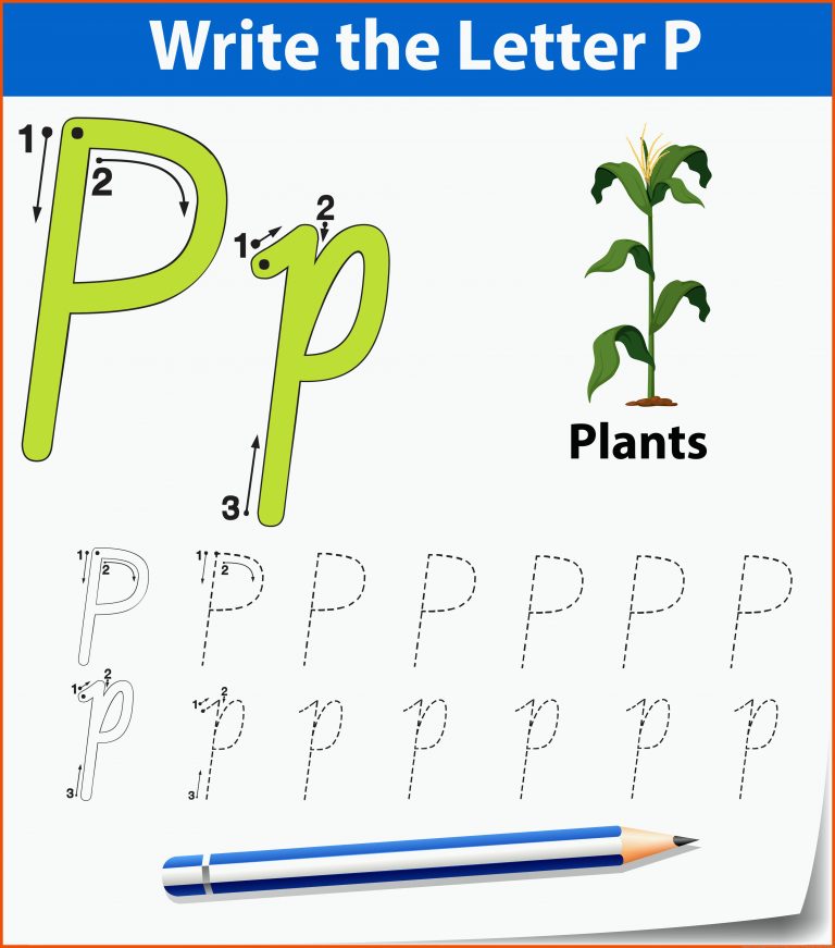 Buchstabe p Tracing Alphabet Arbeitsblatt mit Pflanze 1343574 ... für aufbau einer pflanze arbeitsblatt
