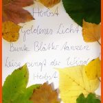 Bunt Sind Schon Die WÃ¤lder â Ein Projekt Rund Um Den Herbst Fuer Laubbäume Blätter Bestimmen Arbeitsblatt