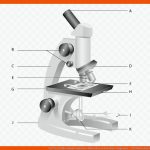 Carl Zeiss Mikroskopie Optisches Mikroskop Arbeitsblatt Diagramm ... Fuer Mikroskop Aufbau Und Funktion Arbeitsblatt