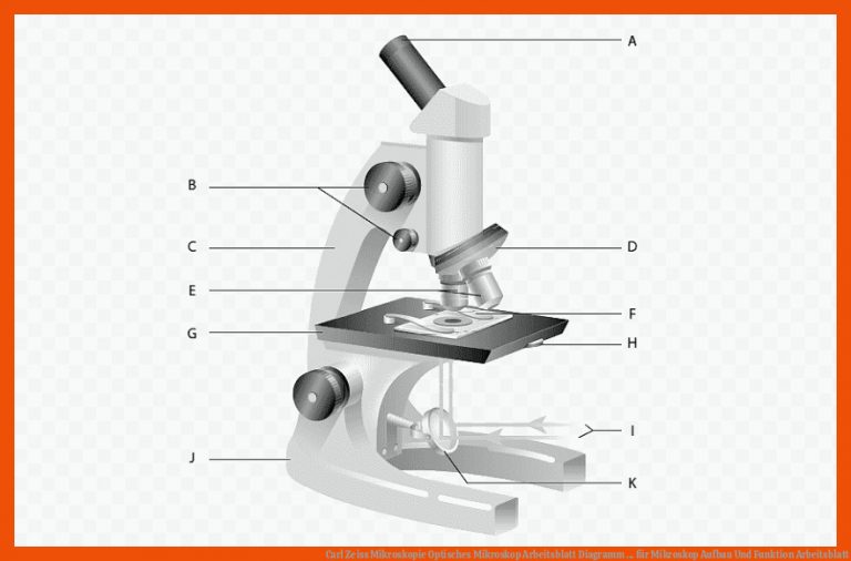 Carl Zeiss Mikroskopie Optisches Mikroskop Arbeitsblatt Diagramm ... für mikroskop aufbau und funktion arbeitsblatt