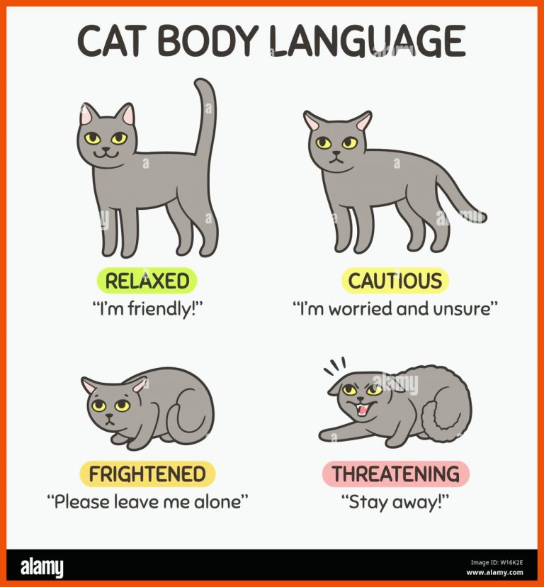 Cat Body Language Stock-Vektorgrafiken kaufen - Alamy für körpersprache katze arbeitsblatt