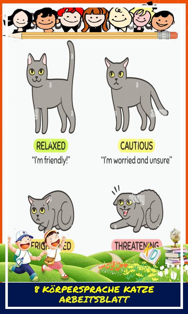 8 Körpersprache Katze Arbeitsblatt