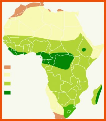 Klimazonen Afrikas Arbeitsblatt