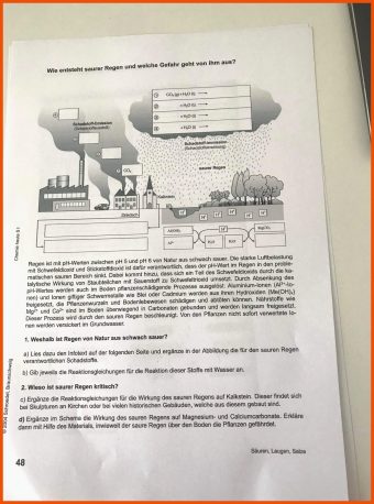 8 Saurer Regen Arbeitsblatt