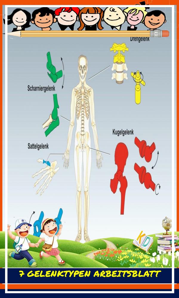 7 Gelenktypen Arbeitsblatt