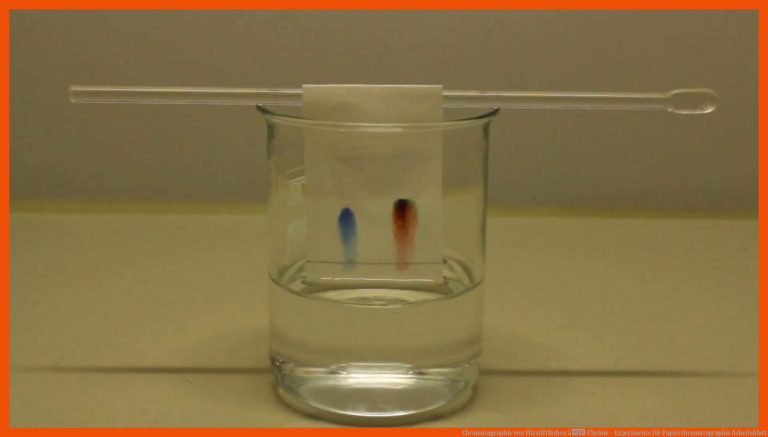 Chromatographie von Filzstiftfarben â Chemie - Experimente für papierchromatographie arbeitsblatt