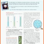 Click & Teach Fuer Basiskonzepte Biologie Arbeitsblatt