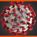 Covid-19: Die Coronapandemie Im Unterricht Raabe Fuer Aktive Und Passive Immunisierung Arbeitsblatt Klett