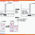 Cytologie: Osmose (!) Fuer Diffusion Und Osmose Arbeitsblatt