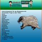 Dachs Biologie Ãbungsmaterial Ãbungen Schularbeit Fuer Körperteile Arbeitsblatt Pdf