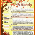 Das EichhÃ¶rnchen - Deutsch Daf Arbeitsblatter Fuer Eichhörnchen Nahrung Arbeitsblatt