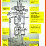 Das Elektronenmikroskop - Die Ganze Geschichte Fuer Elektronenmikroskop Aufbau Arbeitsblatt