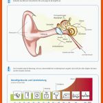 Das GehÃ¶r Fuer Das Ohr Arbeitsblätter