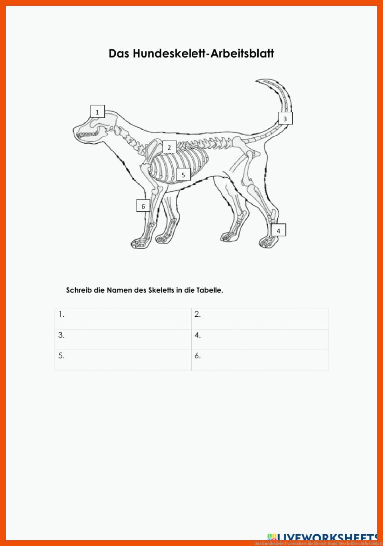 Das Hundeskelett worksheet für skelett hund beschriften arbeitsblatt