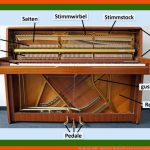 Das Klavier Wbf - Innovative Medien FÃ¼r Den Unterricht Fuer Tasteninstrumente Arbeitsblatt
