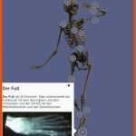 Das Menschliche Skelett â Lernen Im Netz Fuer Skelett Arbeitsblatt Kostenlos