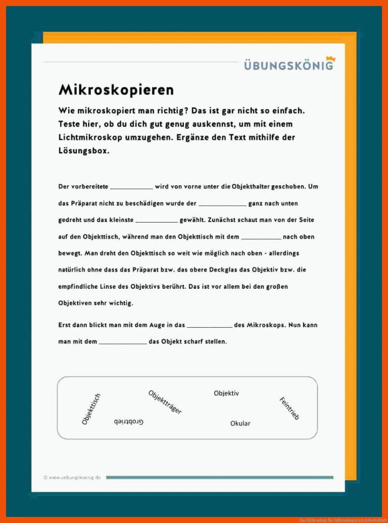 Das Mikroskop Fuer Mikroskopieren Arbeitsblatt